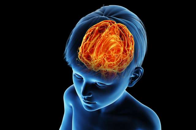 3d rendered medically accurate illustration of a childs brain