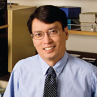 <b>William Yong</b>, MD - William-Yong