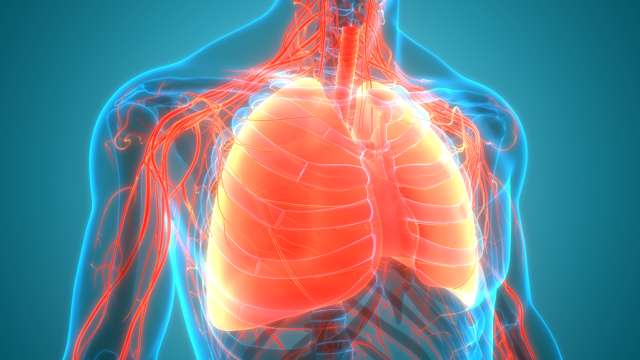 New research provides insight into pulmonary hypertension, an incurable and often-fatal disease.