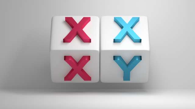 Blocks showing XX and XY chromosomes representing male and female.