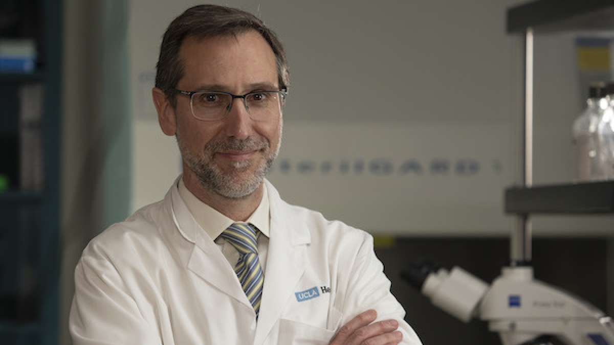 Renowned UCLA physician-scientist honored for commitment to pediatric  cancer care