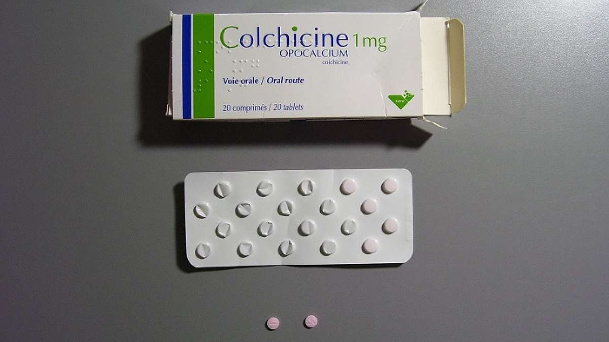 A Sharp Increase In The Price Of The Gout Drug Colchicine Led To Lower   Box Colchicine Wikimedia Commons 700x466 