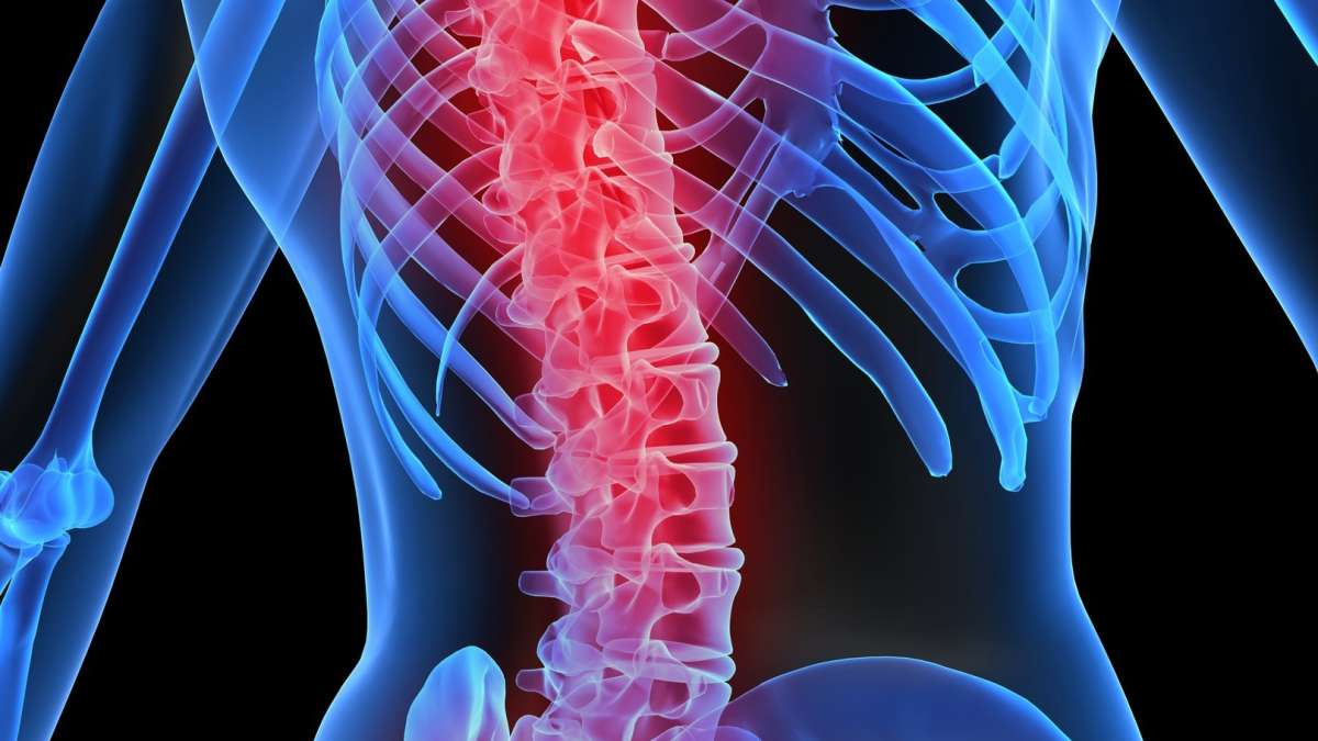Solving the back pain puzzle, one spine area at a time, Back and Spine, Orthopaedics and Rehab