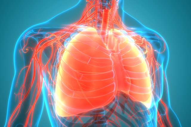 New research provides insight into pulmonary hypertension, an incurable and often-fatal disease.