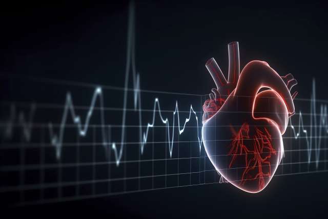 This study is the first to link abnormalities in cardiac insulin signaling to the increased risk of cardiac arrythmias