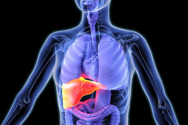 Research shows inflammation might not be the main driver of liver fibrosis