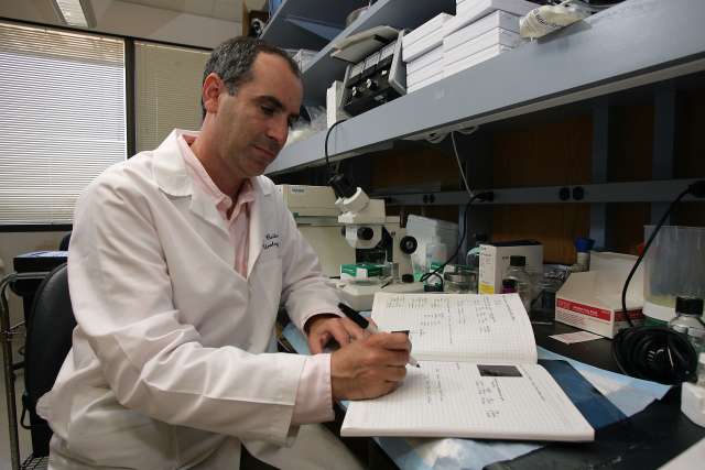 Dr. Robert Reiter works in the lab.