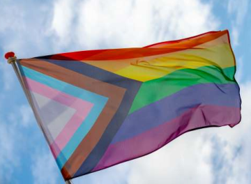 Transgender Diversity Flag