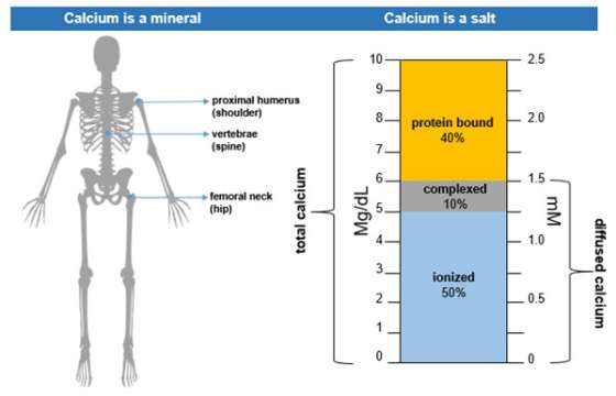 normal-calcium-levels-ucla-health