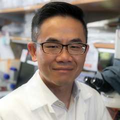 Hsian-Rong Tseng, PhD